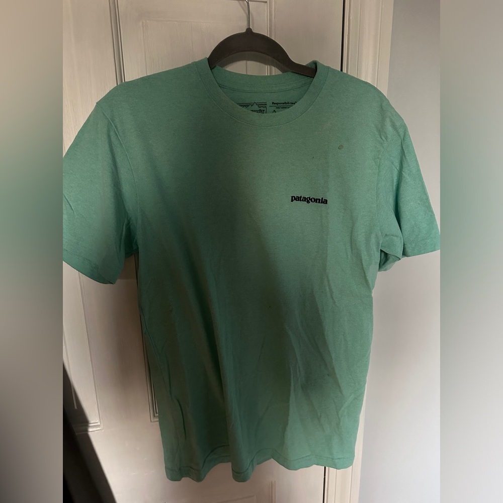 minty patagonia tshirt